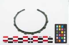 Foto von Bronzemelonenarmreif (NHMW-PRAE-025477)
